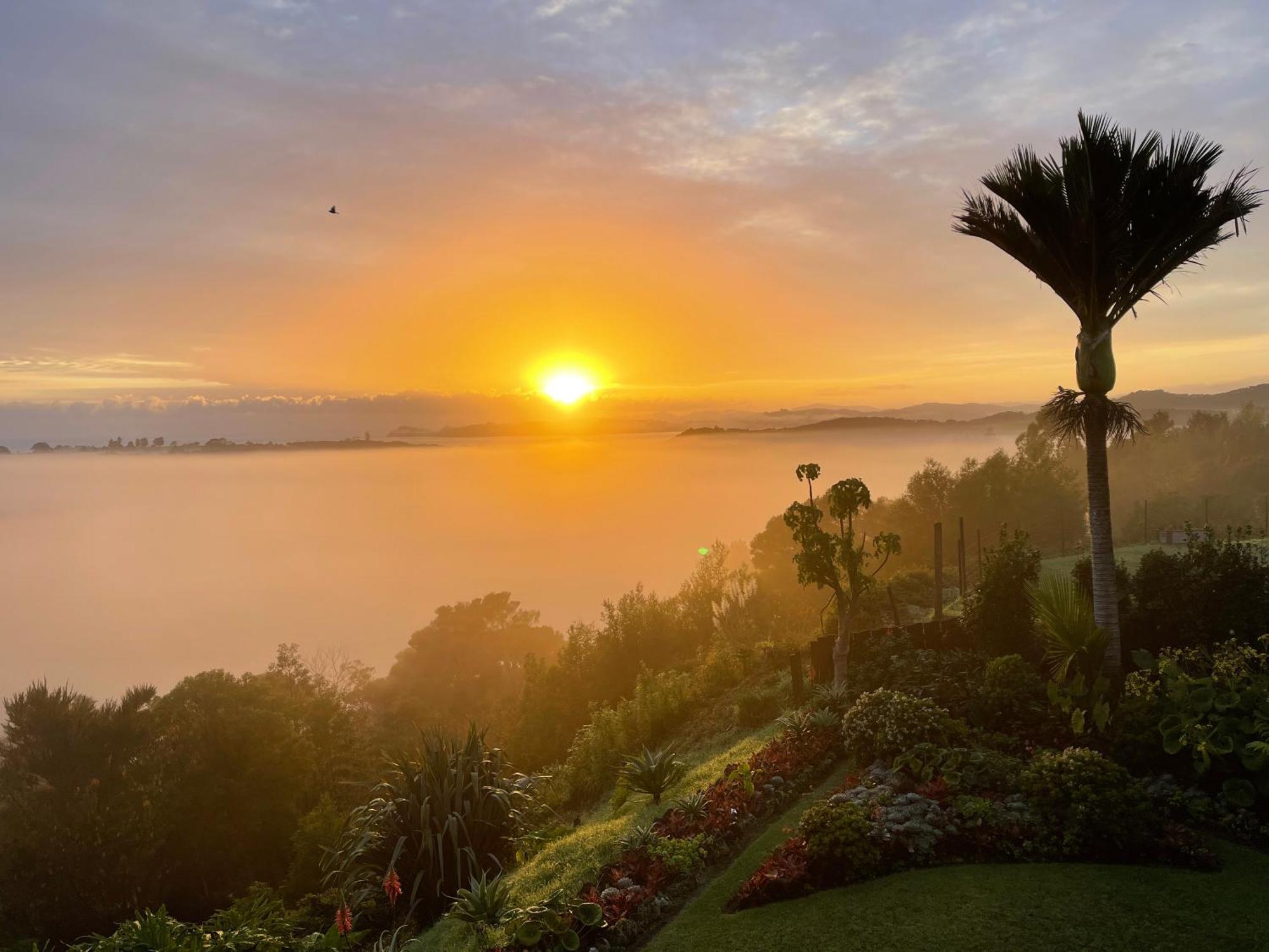 Baywaterviews Bed & Breakfast Haruru Exterior foto